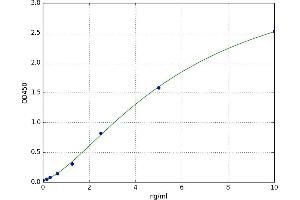 A typical standard curve