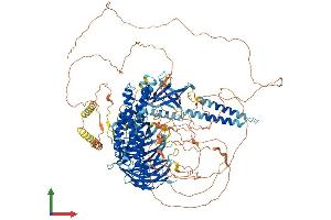 Protein Structure (PS) image for rho Guanine Nucleotide Exchange Factor (GEF) 10 (ARHGEF10) (AA 1-1369) protein (His tag) (ABIN7552239)