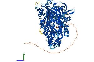 AlphaFold protein structure predicition of Mouse Recombinant Piwil4 Protein, UniprotID Q8CGT6 (PIWIL4 Protein (AA 1-848) (His tag))