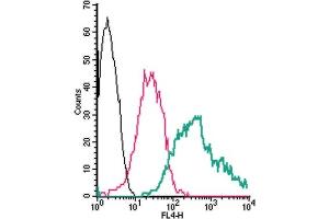 Cell surface detection of Adenosine A2b Receptor by direct flow cytometry in live intact mouse J774 macrophage cells: + Rabbit IgG isotype control-APC.
