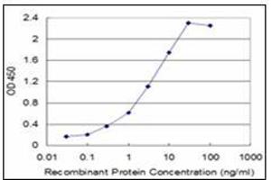 ELISA image for anti-Tumor Necrosis Factor alpha (TNF alpha) (AA 1-234) antibody (ABIN782382)