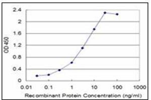 ELISA image for anti-Tumor Necrosis Factor alpha (TNF alpha) (AA 1-234) antibody (ABIN782382) (TNF alpha antibody  (AA 1-234))