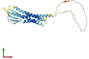 AlphaFold protein structure predicition of Mouse Recombinant Cacng5 Protein, UniprotID Q8VHW4 (CACNG5 Protein (AA 1-275) (His tag))