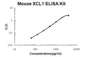 Mouse XCL1/Lymphotactin PicoKine ELISA Kit standard curve (XCL1 ELISA Kit)