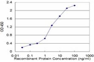 Detection limit for recombinant GST tagged SEPX1 is approximately 0. (MSRB1 antibody  (AA 1-84))