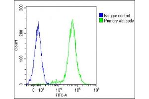 Flow Cytometry (FACS) image for anti-Interleukin 1 alpha (IL1A) (AA 177-206) antibody (ABIN652257)