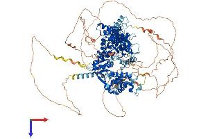 AlphaFold protein structure predicition of Human Recombinant FAM120C Protein, UniprotID Q9NX05 (FAM120C Protein (AA 1-1096) (His tag))