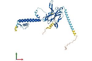 AlphaFold protein structure predicition of Mouse Recombinant Kcnj8 Protein, UniprotID P97794