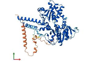 AlphaFold protein structure predicition of Human Recombinant NT5DC2 Protein, UniprotID Q9H857 (NT5DC2 Protein (AA 1-520) (His tag))