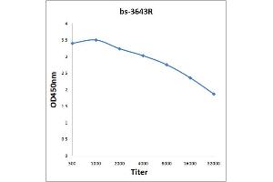 Antigen: 0. (Plastin 3 antibody  (AA 401-500))