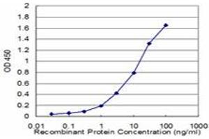 Detection limit for recombinant GST tagged CTH is approximately 1ng/ml as a capture antibody. (CTH antibody  (AA 1-405))