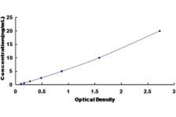 NFKB2 ELISA Kit