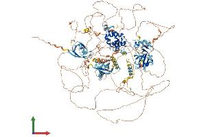 AlphaFold protein structure predicition of Mouse Recombinant Rgs12 Protein, UniprotID Q8CGE9 (RGS12 Protein (AA 1-1381) (His tag))