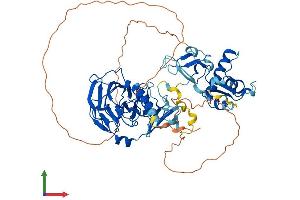 Protein Structure (PS) image for Set1/Ash2 Histone Methyltransferase Complex Subunit ASH2 (ASH2L) (AA 1-623) protein (His tag) (ABIN7560068)