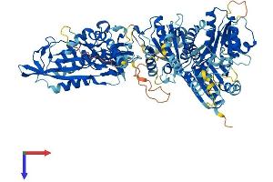 AlphaFold protein structure predicition of Mouse Recombinant Slfn14 Protein, UniprotID V9GXG1