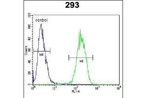 Flow cytometric analysis of 293 cells (right histogram) compared to a negative control cell (left histogram). (IL17F antibody  (N-Term))