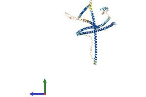 AlphaFold protein structure predicition of Human Recombinant OPTN Protein, UniprotID Q96CV9 (OPTN Protein (AA 1-577) (His tag))