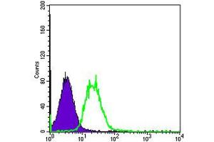 Flow cytometric analysis of HeLa cells using FYN monoclonal antibody, clone 2A10  (green) and negative control (purple) .