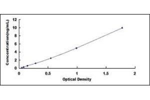 Typical standard curve (Caspase 6 ELISA Kit)