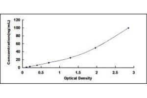 Typical standard curve (COL1A2 ELISA Kit)