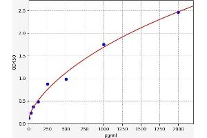 Typical standard curve (NKp44/NCR2 ELISA Kit)