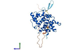 AlphaFold protein structure predicition of Human Recombinant GOLPH3 Protein, UniprotID Q9H4A6 (GOLPH3 Protein (AA 1-298) (His tag))