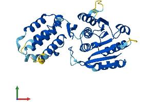 AlphaFold protein structure predicition of Human Recombinant EEF2KMT Protein, UniprotID Q96G04 (EEF2KMT (AA 1-330) protein (His tag))