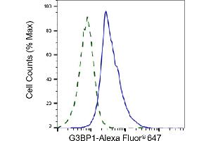 Validation of G3BP1 knockdown using flow cytometry.