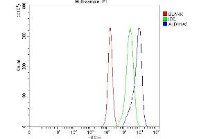 anti-Aldehyde Dehydrogenase 1 Family, Member A3 (ALDH1A3) (AA 37-154) antibody