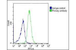 Overlay histogram showing Ramos cells stained with (ABIN652888 and ABIN2842575)(green line). (HLAG antibody  (AA 62-89))