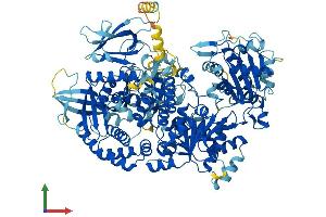 AlphaFold protein structure predicition of Human Recombinant DNA2 Protein, UniprotID P51530 (DNA2 Protein (AA 1-1060) (His tag))