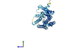 AlphaFold protein structure predicition of Human Recombinant OR51A2 Protein, UniprotID Q8NGJ7 (OR51A2 Protein (AA 1-313) (His tag))