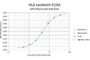 HLA sandwich ELISA standard curve with recombinant HLA-B*07:02 antigen using monoclonal antibodies W6/32 and BBM. (HLA-B*07:02 protein (SBP Tag))