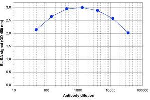 ELISA of anti-ZBTB4 antibody ELISA results of Rabbit anti-ZBTB4 antibody. (ZBTB4 antibody)