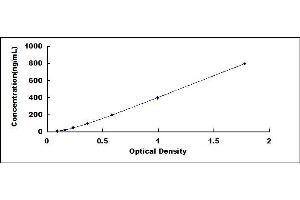 Typical standard curve (Fibronectin ELISA Kit)