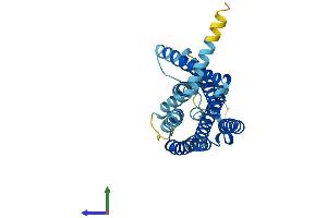 AlphaFold protein structure predicition of Human Recombinant OR2A2 Protein, UniprotID Q6IF42 (OR2A2 Protein (AA 1-318) (His tag))