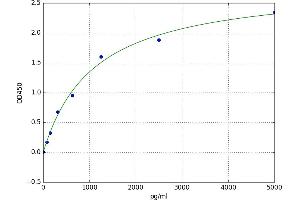 A typical standard curve
