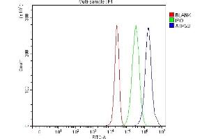 Flow Cytometry analysis of 293T cells using anti-ATP5F1B antibody (ABIN7599866). (Atp5f1b (AA 123-529) antibody)