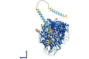 AlphaFold protein structure predicition of Mouse Recombinant Man2a2 Protein, UniprotID Q8BRK9