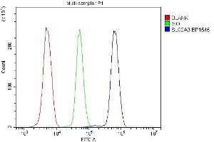 anti-Solute Carrier Family 2 (Facilitated Glucose Transporter), Member 9 (SLC2A9) (AA 7-540) antibody