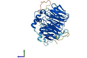 Protein Structure (PS) image for WD Repeat and SOCS Box Containing 1 (WSB1) (AA 1-421) protein (His tag) (ABIN7545203)