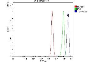 Flow Cytometry analysis of MCF-7 cells using anti-Matriptase 2/TMPRSS6 antibody (ABIN7599541).