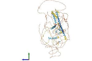 AlphaFold protein structure predicition of Mouse Recombinant Kansl1 Protein, UniprotID Q80TG1 (KANSL1 Protein (AA 1-1036) (His tag))