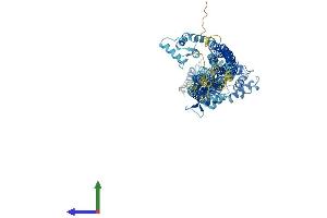 Protein Structure (PS) image for Actinin, alpha 1 (ACTN1) (AA 1-892) protein (His tag) (ABIN7551900)