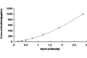 Typical standard curve (IFNA21 ELISA Kit)