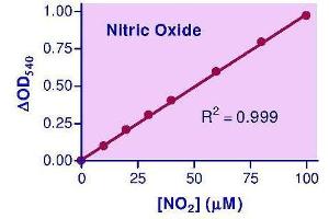 Biochemical Assay (BCA) image for Nitric Oxide Assay Kit (ABIN1000244) (Nitric Oxide Assay Kit)
