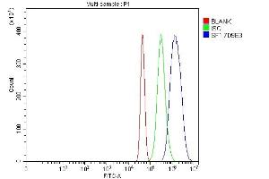 Flow Cytometry analysis of Neuro-2a cells using anti-splicing factor 1 antibody (ABIN7600194). (Splicing Factor 1 antibody  (AA 160-266))