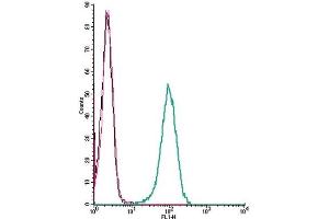 Cell surface detection of LPAR6 by indirect flow cytometry in live intact human THP-1 monocytic leukemia cells: (black line) Cells. (LPAR6 antibody  (Extracellular))