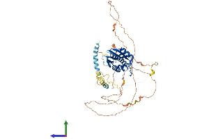 Protein Structure (PS) image for Autophagy Related 13 (ATG13) (AA 1-517) protein (His tag) (ABIN7552537)