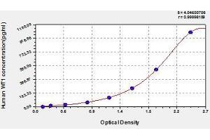 Typical standard curve (WT1 ELISA Kit)